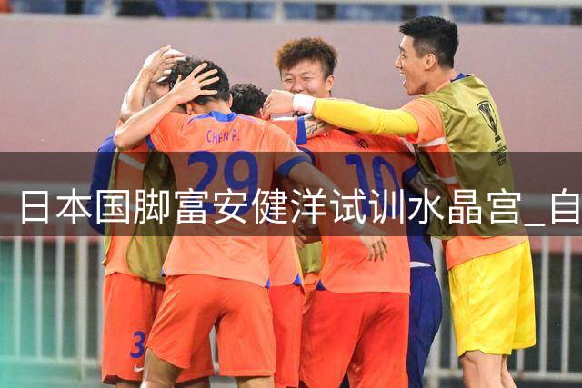 日本国脚富安健洋试训水晶宫 自由转会谈判进入关键阶段