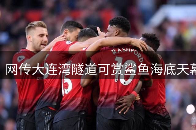 网传大连湾隧道可赏鲨鱼"海底天幕" 官方紧急辟谣澄清事实